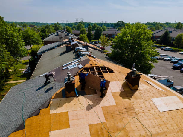 Best Flat Roof Repair Services  in Renville, MN