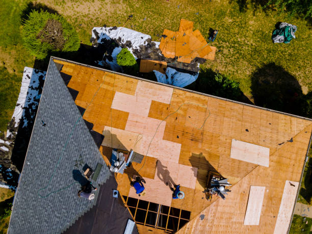 Best Roof Replacement Cost  in Renville, MN