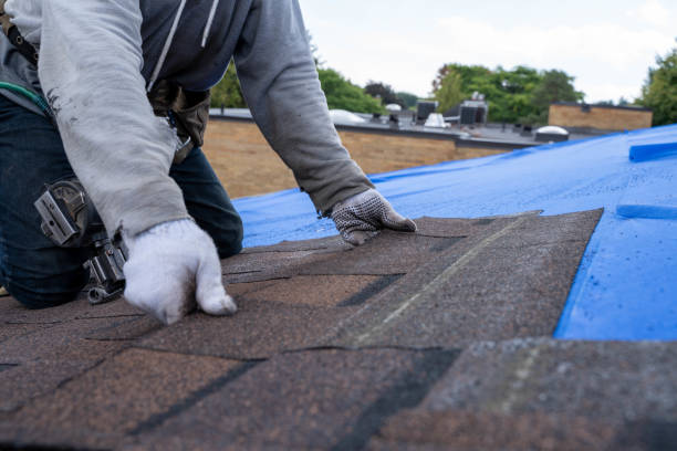 Quick and Trustworthy Emergency Roof Repair Services in Renville, MN