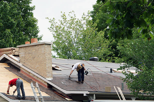 Gutter Installation and Roofing in Renville, MN