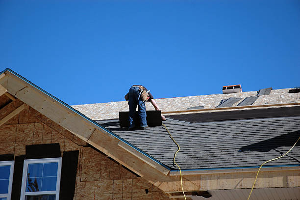 Best Roof Repair Services  in Renville, MN