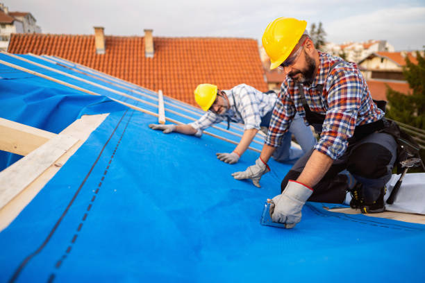 Best Tile Roofing Contractor  in Renville, MN