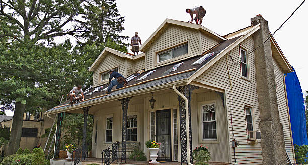 Best Gutter Installation and Roofing  in Renville, MN
