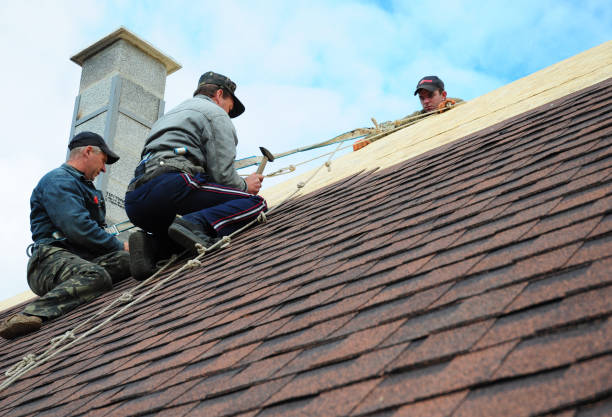 Best Residential Roofing Contractor  in Renville, MN